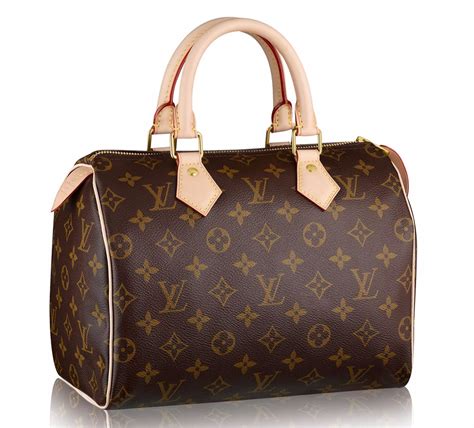 louis vuitton speedy bag sizes|louis vuitton speedy bag price.